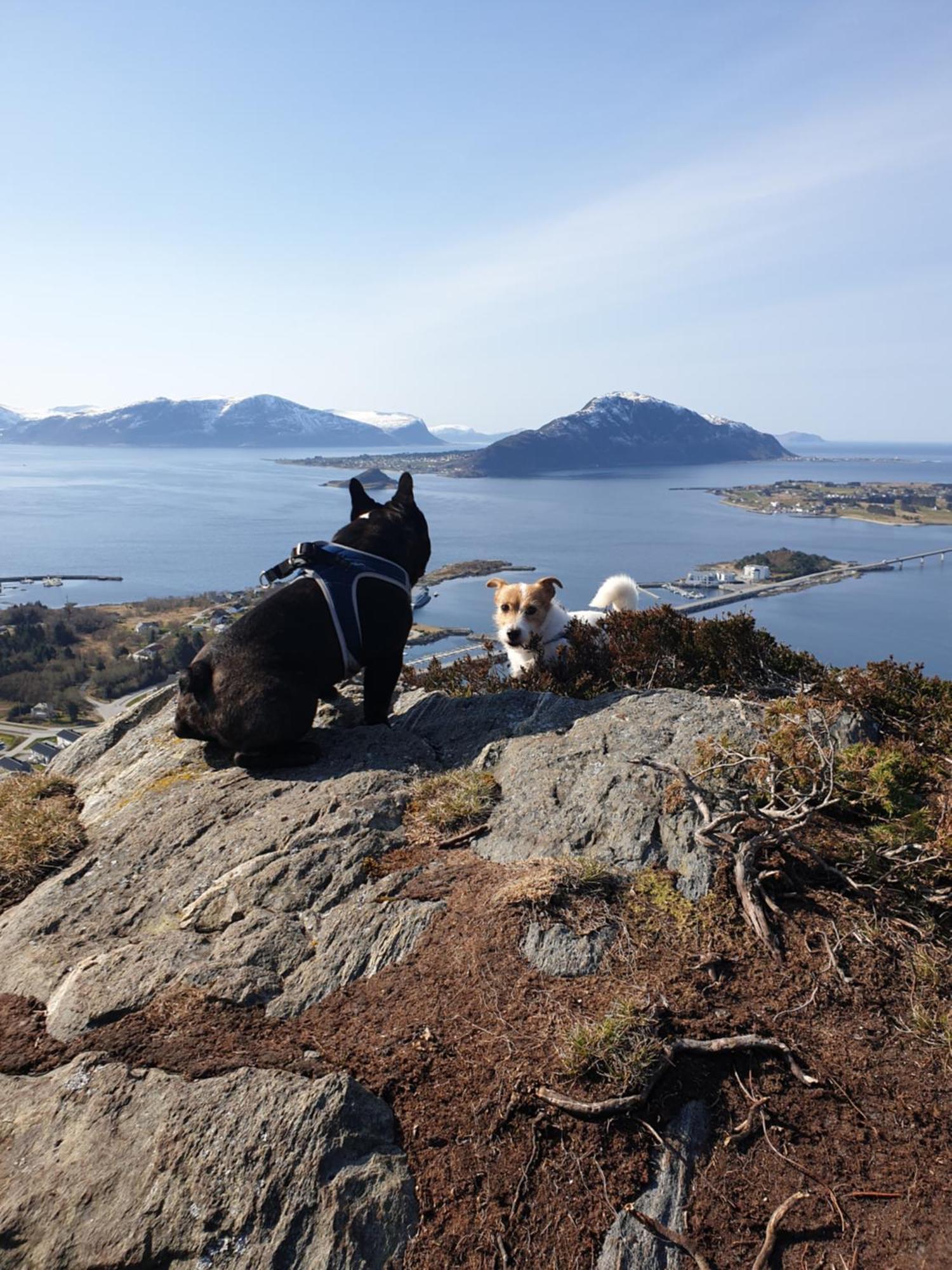 Leilighet Naer Flyplass Og Alesund Sentrum Ytterland المظهر الخارجي الصورة